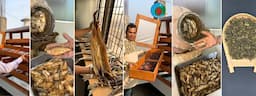 শুঁটকি—এক অপার সম্ভাবনার নাম