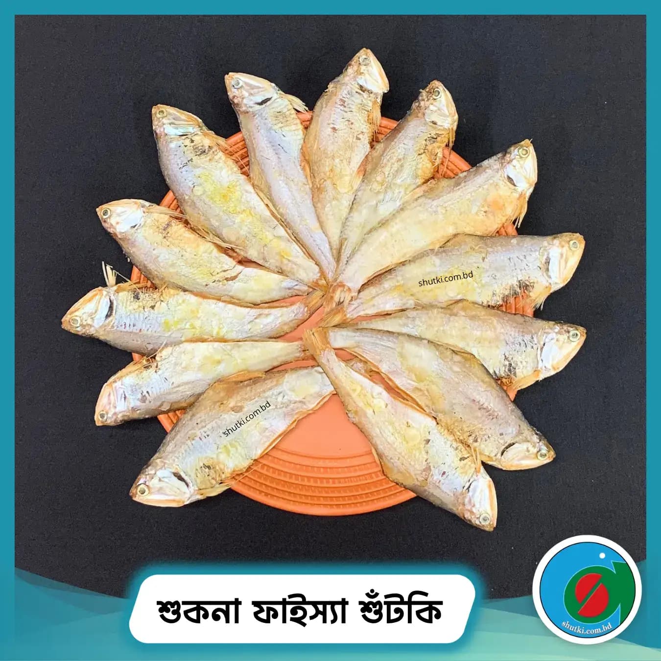 শুকনা ফাইস্যা শুঁটকি | Faisa Dry Fish