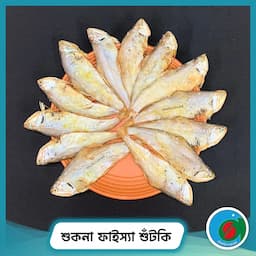 শুকনা ফাইস্যা শুঁটকি | Faisa Dry Fish 1