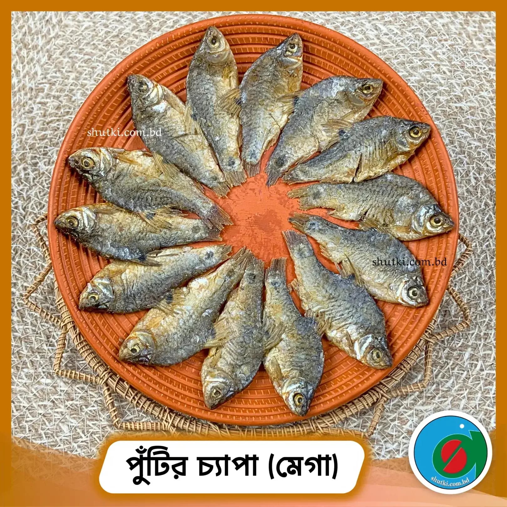 পুঁটির চ্যাপা (মেগা) | Puti Chepa Shutki
