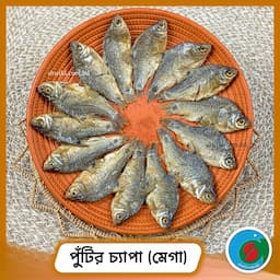 পুঁটির চ্যাপা (মেগা) | Puti Chepa Shutki 1